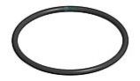 Hayward Diffuser O-Ring | SPX4000Z1