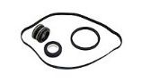 Hayward Shaft Seal & Gasket Kit | SPX1600TRA