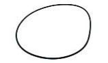 Hayward Seal Plate O-Ring | AX6060S