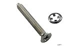 Hayward Lockscrew with Fastener | SPX0590Z2A