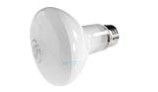 Hayward Incandescent Bulb | 100W 120V | SPX0551Z4