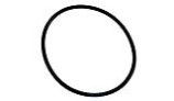 Zodiac Jandy O-Ring Space Saver Valve | 6749