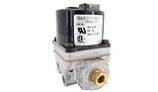 Pentair Solenoid Pilot Valve | 24V | W0019300