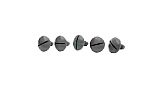 Pentair Wheel Screw Platinum 5pk Gray | LLC55PM