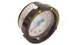 Pentair Pressure Gauge with Indicator | Rear Mount | 0-60 PSI | 190059 190059Z