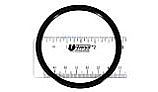 Pentair Bulkhead O-Ring 2" 3 Req | 154492