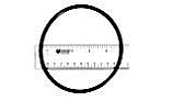 Pentair O-Ring 3/16"X4-3/4" | 272541