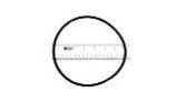 Pentair 2" DE Multiport Valve Replacement Parts | Body O-Ring | 275333
