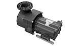 Pentair EQK500 Series 5HP Nema Premium Efficiency 3-Phase Pool Pump without Strainer 208-230-460V | 340020