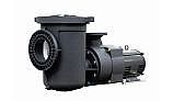 Pentair EQW300 Series 3HP Nema Premium Efficiency Single Phase Waterfall Pool Pump with Strainer 208-230V | 340026
