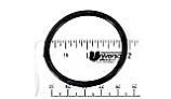 Pentair Pot to Volute O-Ring (#2-223) | 350103