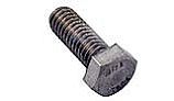 Pentair Screw Cap 3/8-16x1" Stainless Steel | 354290