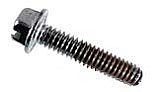 Pentair Impeller Locking Screw | 355389