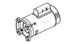 Pentair Motor Square Flange | .75HP 208/230V 3-Phase 60 Hz | Almond | 355001S