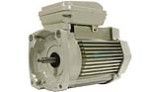 Pentair Motor Square Flange Energy Efficient | 3 Phase | 208/230/460V 1HP | Almond | 356626S | 354805S