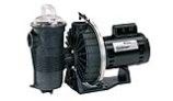 Pentair Challenger High Pressure Standard Efficiency Pool Pump | 230V 2HP Full Rated | 345218