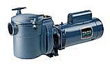 Sta-Rite CF Series 1HP Standard Efficiency Full Rated Bronze Pool Pump with 5" Strainer 115-230V | CFAE-79DL
