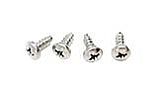 Zodiac SS Screw 6x5/16in | 165/65 | 6-413-00