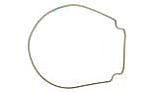 Pentair WhisperFlo & IntelliFlo Seal Plate Gasket | Almond | 357102 | 357102Z