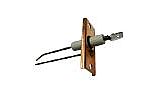 Pentair Ignitor Electrode MiniMax 75 & 100 | 471090