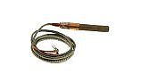 Pentair Pilot Generator Q313 with Clip Millivolt P24726 | 071515