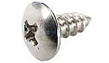 Pentair Phillips Truss Head Lock Screw | R172375