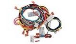 Raypak Wire Harness | IID Units | 009490F