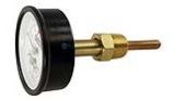 Raypak Temperature & Pressure Gauge Kit | 007399F