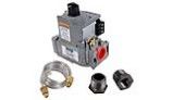 Raypak Electronic Combination Gas Valve | Natural Gas - IID Units | 003900F