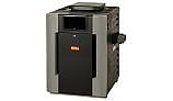Raypak Digital Low NOx Natural Gas Heater 337K BTU | Cupro Nickel Exchanger | Electronic Ignition | P-R337A-EN-X 010132 P-M337A-EN-X 010164