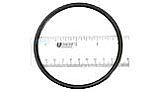 Pentair O-Ring F/Bulkhead System 3 | 35505-1425