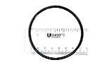 Pentair O-Ring | 35505-7438