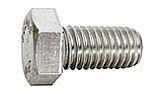 Pentair Cap Screw 1/2"-13x1" | S23619