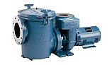 Sta-Rite CSP Series 10HP Nema Single Phase Cast Iron Pool Pump Without Strainer | 230V | CSPHL-143
