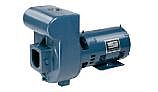 Sta-Rite D-Series 3HP Standard Efficiency Single Phase Commercial Pool Pump 230V | DMH-171