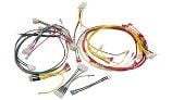 Pentair Wire Harness Replacement Kit | 42001-0104S | 461107