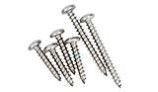 Pentair Screw Kit Great White (GW9500) | GW9504