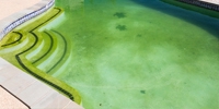 Phosphates & Nitrates: Stopping Algae Growth Before It Starts