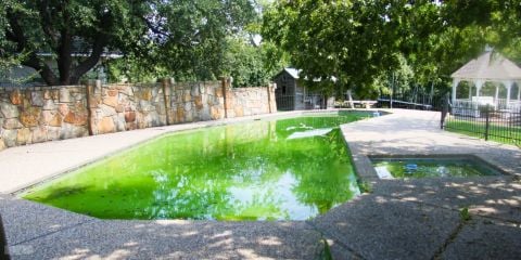 Why Is My Pool Green?